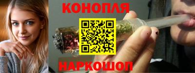 индика Новозыбков