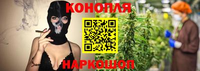 индика Новозыбков