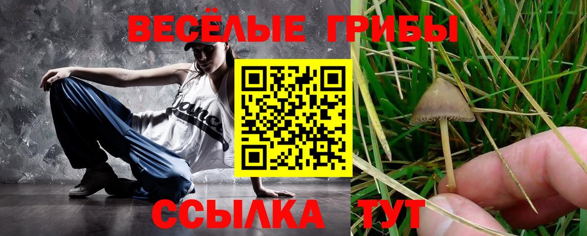 Псилоцибиновые грибы прущие грибы  Вход с VPN  Уварово 